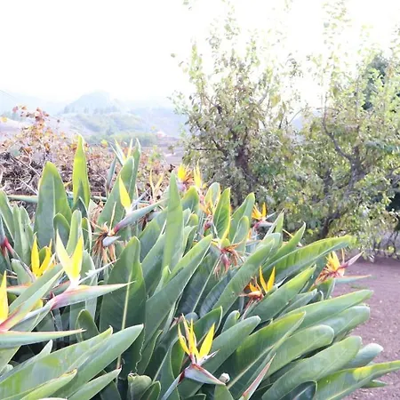 Don Amado, San Mateo